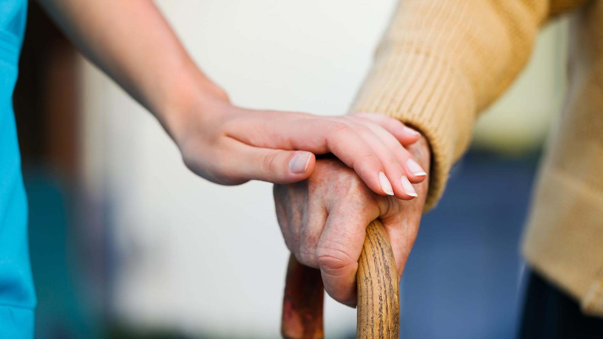 ¿Ya dispone de cuidador?